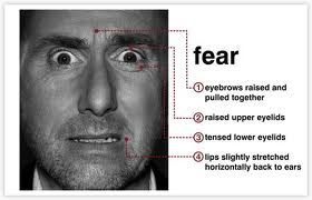 fear.jpg.00c278135a0531dbe607d27f740ff695.jpg