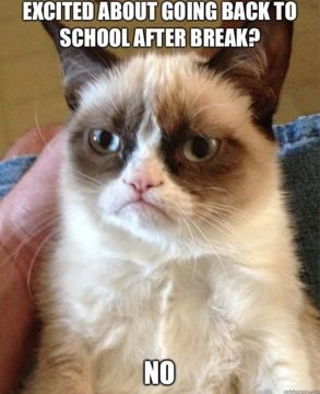 Grumpy-cat-back-to-school-memes-832x1024.jpg