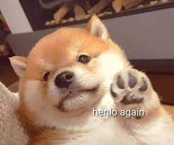 image.jpeg.1e0b99a8050d93396ed9aca175313a2c.jpeg