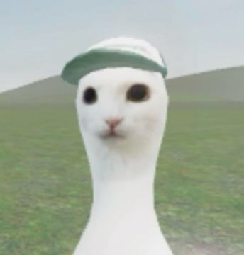 image.thumb.jpeg.46e7bc0ccb09bf9fdea4a57e4e8fb9f8.jpeg