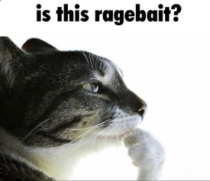IMG_0795.jpeg