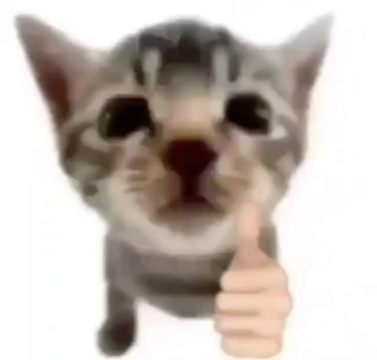 image.thumb.jpeg.116d269e3f77472c9a81fe1f54faa18f.jpeg