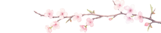image.png.ee2e79bf6554bc290c0e3cd9dd53f0f0.png