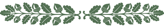 image.thumb.png.067dffa1ac2a4f88656cec4a21d048da.png