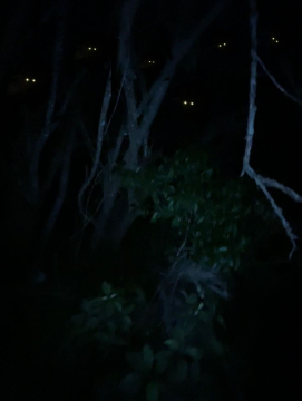 image.thumb.png.a9be747660129062b78157c7118b82a7.png
