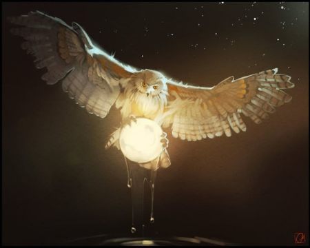 image.thumb.jpeg.c5f73a85757a1ee1d5f6afaa609bf4a3.jpeg