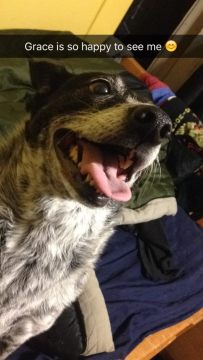 image.thumb.jpeg.2f2c7c8b251f57c50e1f7dfd29c01bd3.jpeg