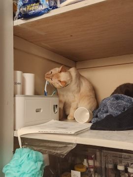 image.thumb.jpeg.afb6d880115c932d0779665e6c6b285e.jpeg