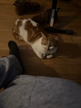IMG_0838.thumb.jpeg.c13280065ff2981db81dbd49421fcf0b.jpeg