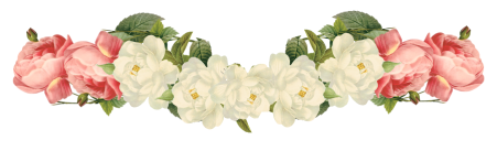 divider.png.722efc0fb0bcb5cbf8f818e18c7f656d.png