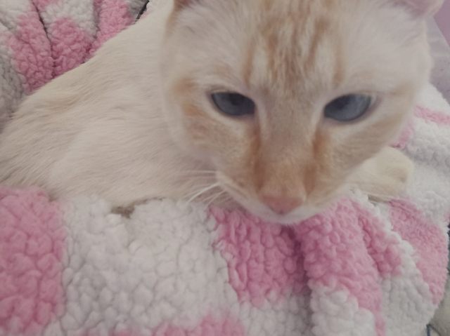 image.thumb.jpeg.3c9733737778c1f3db84209f53e016c5.jpeg