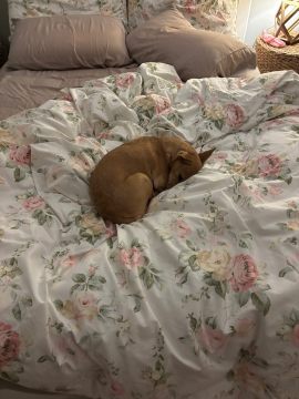 IMG_0963.jpeg