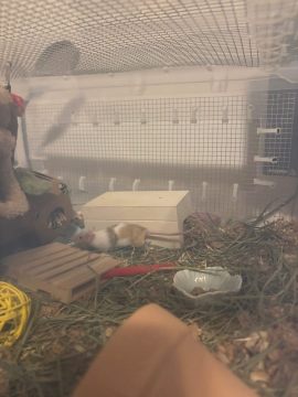 IMG_0974.jpeg