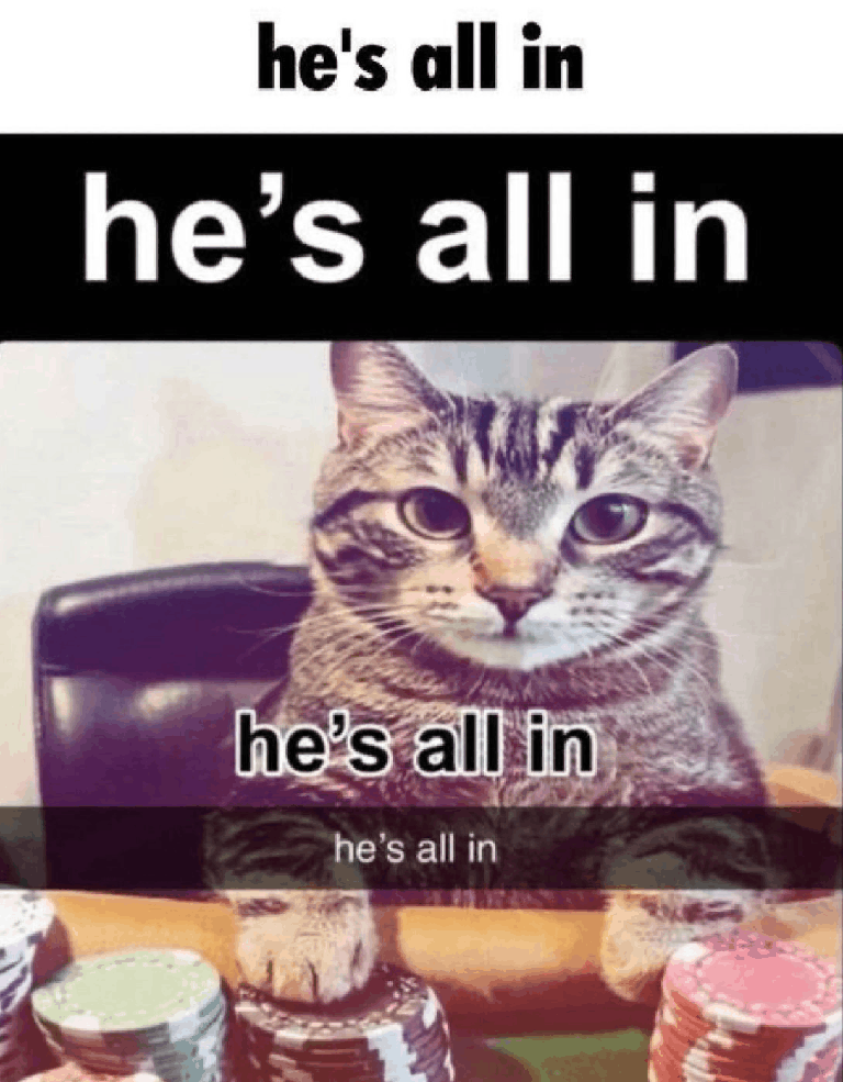attachment.gif