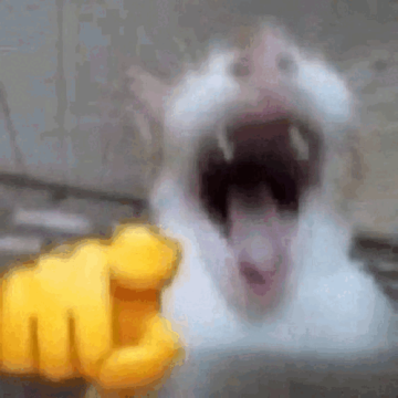 vuknok.thumb.png.30a7e3433d9238aa32d018cbb49277c3.png