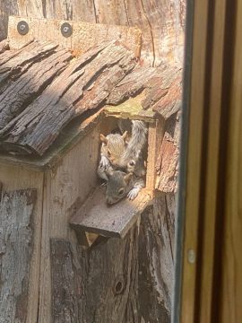IMG_5919.jpeg